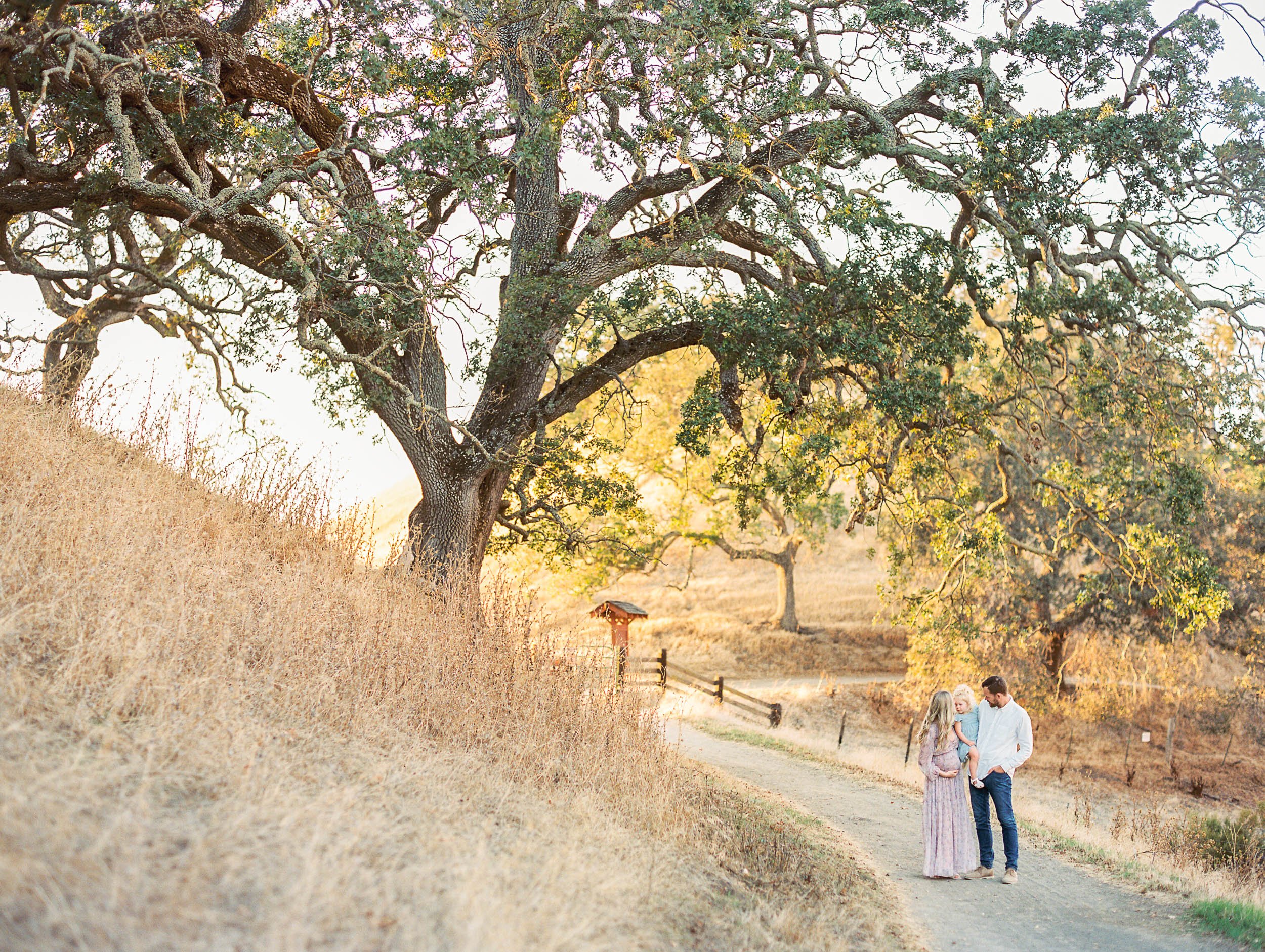 walnut creek family photographer-24.jpg