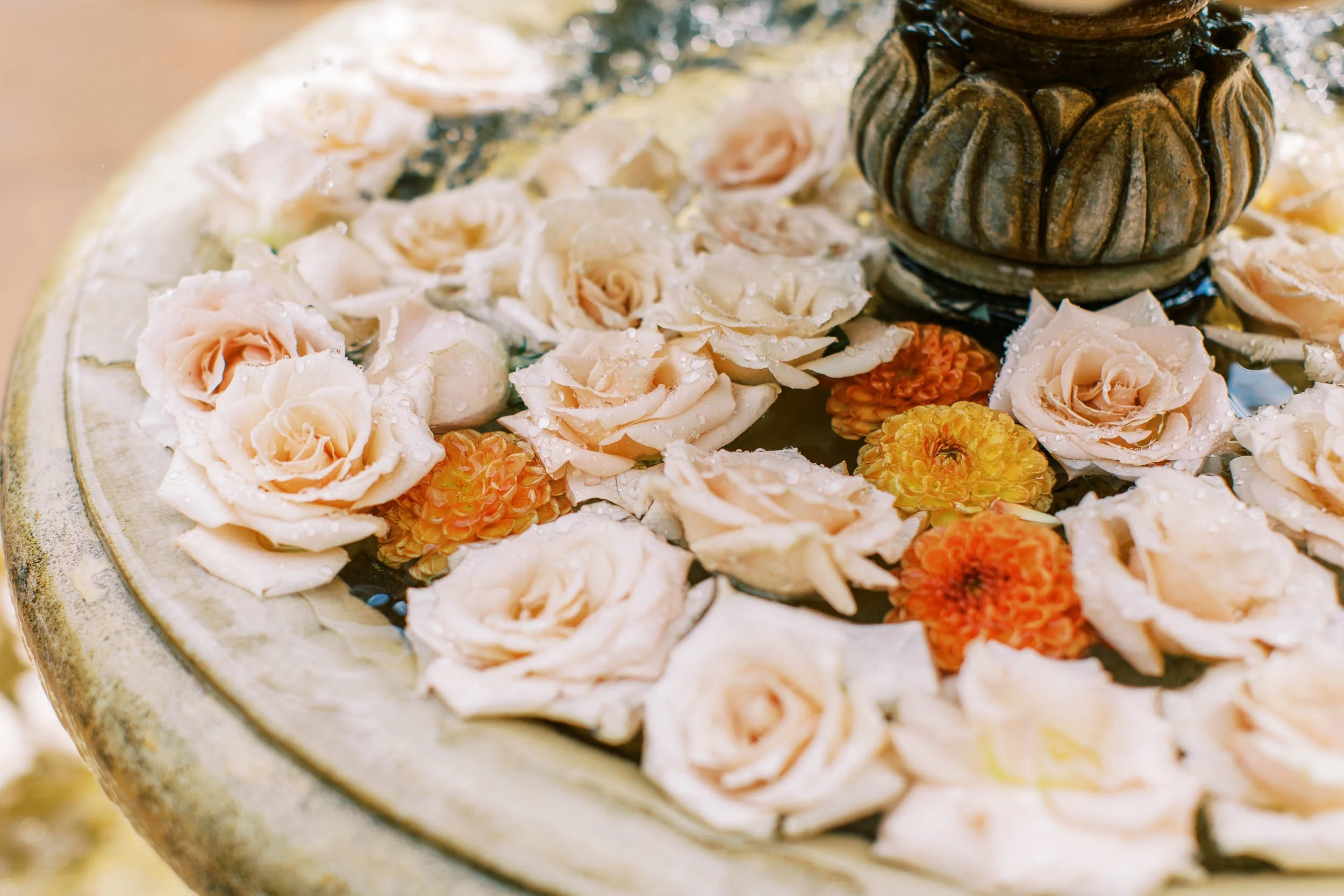 SantaCruzWedding-30.jpg