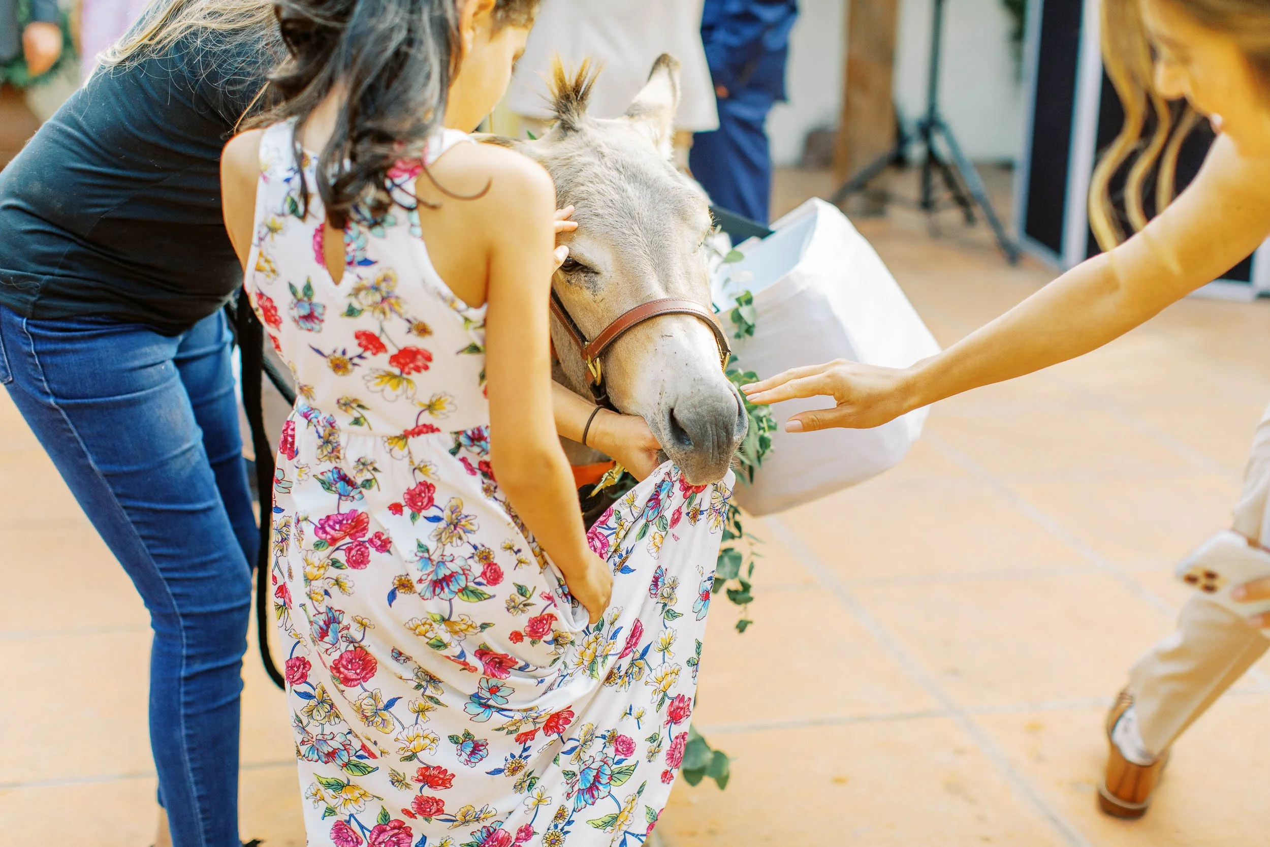 SantaCruzWedding-47.jpg