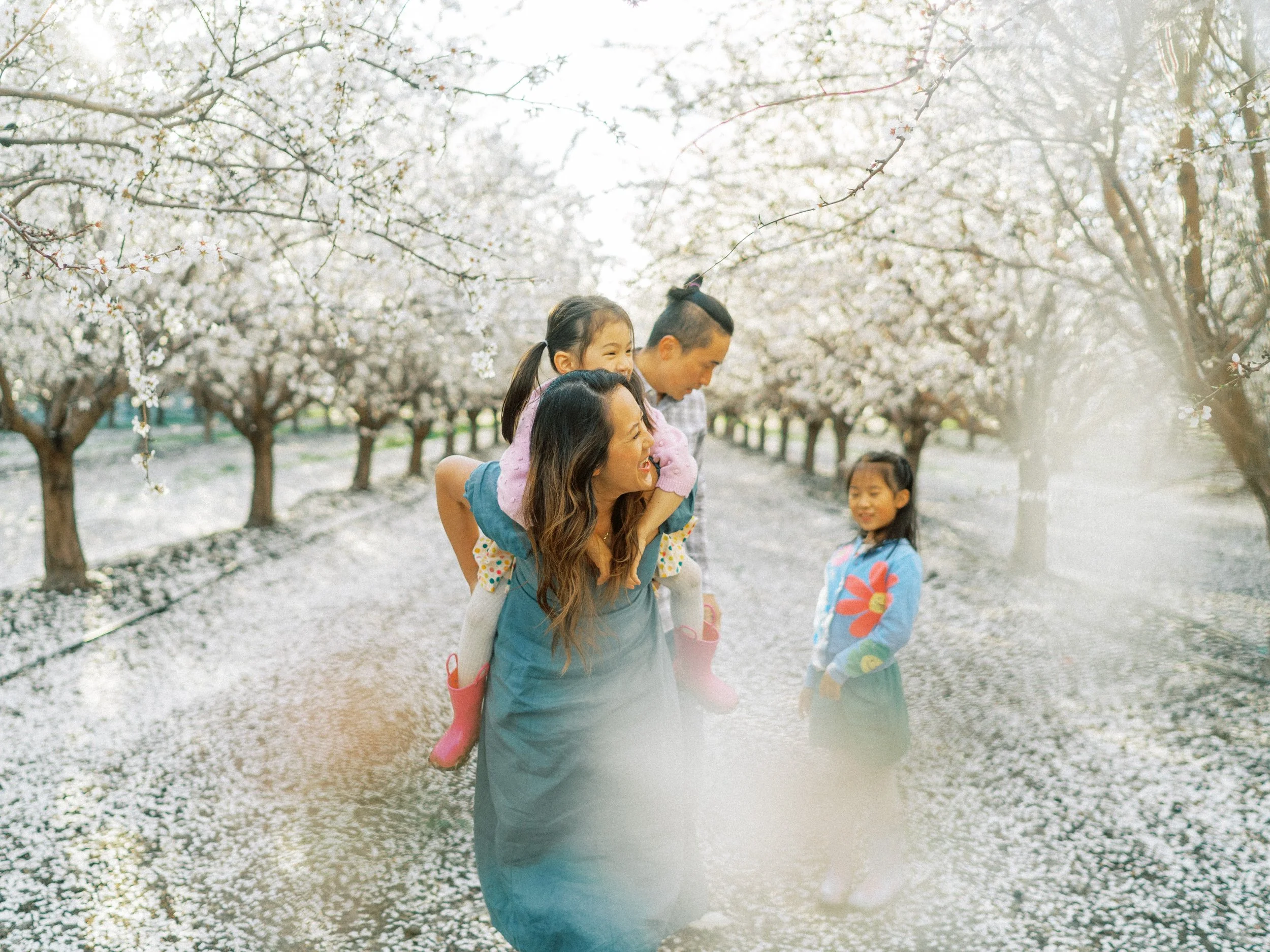 Ng Family in the Blossoms // Tracy, CA