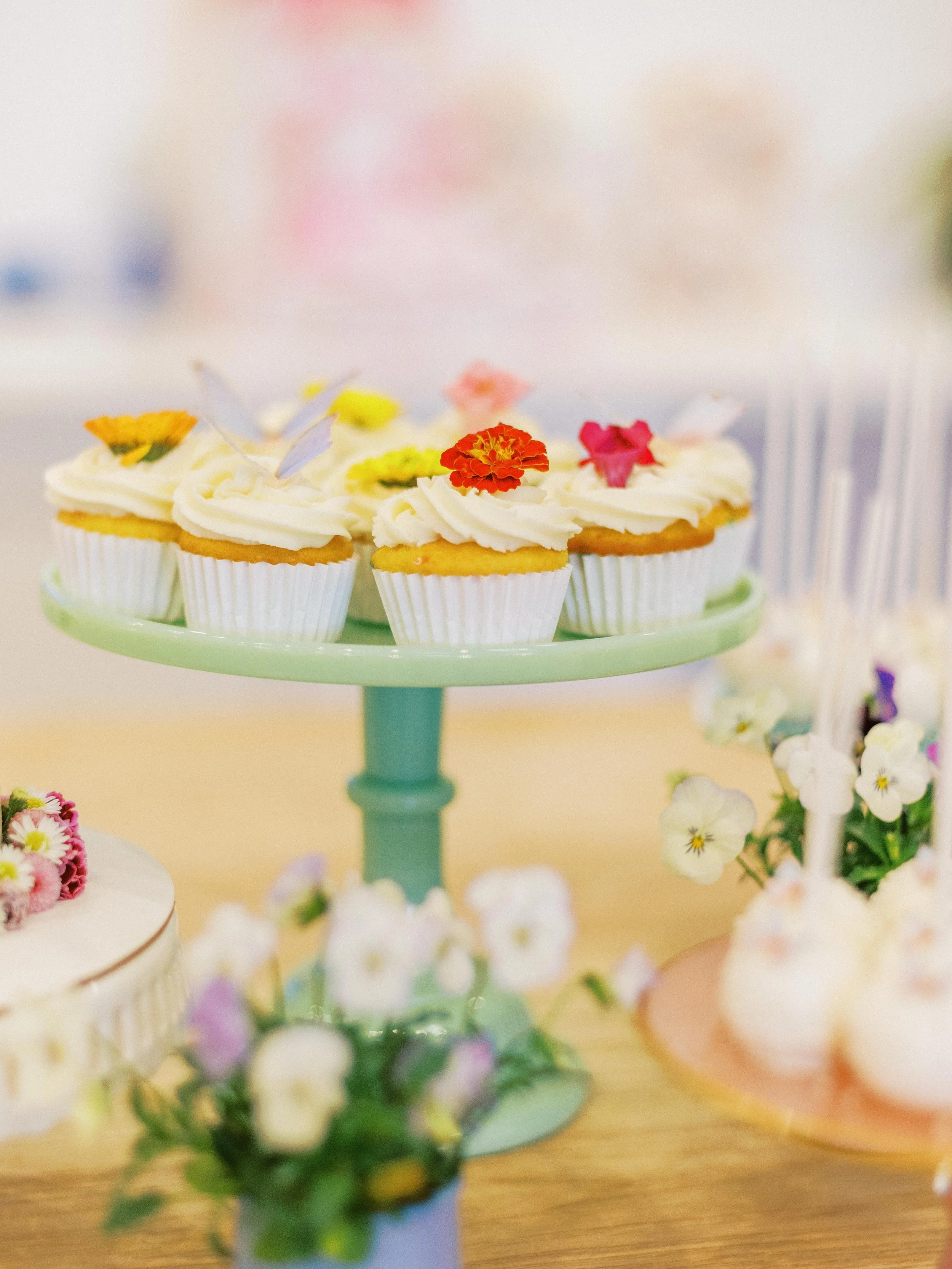 PlantsByPostParty-11.jpg