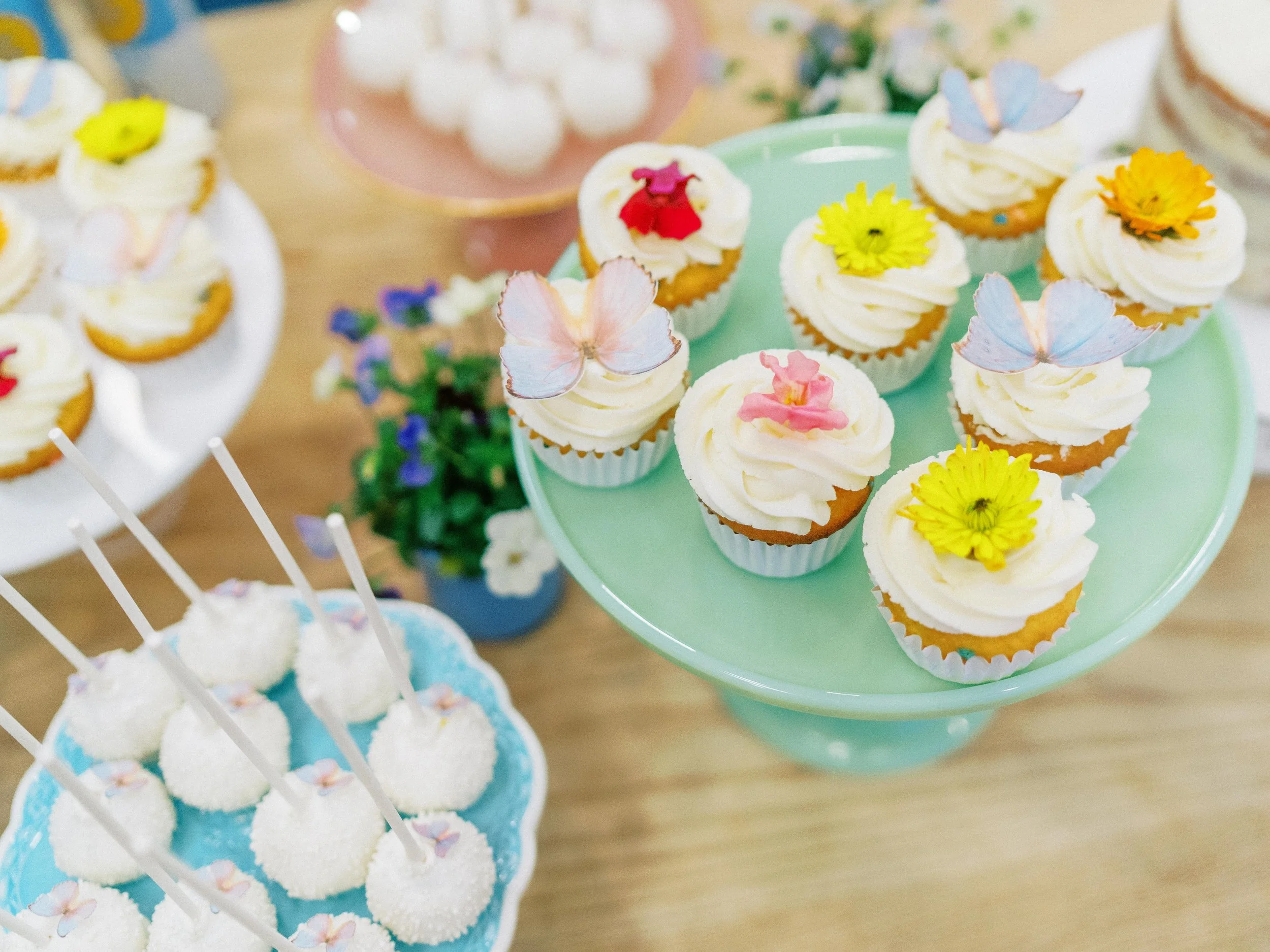 PlantsByPostParty-61.jpg