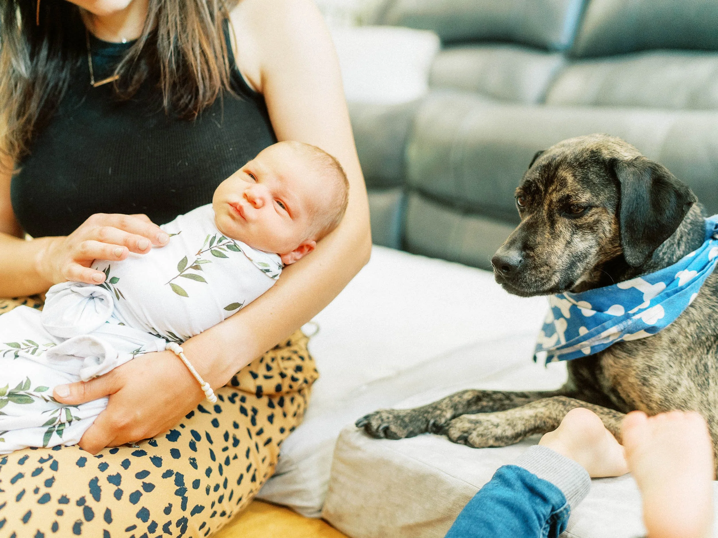 walnutcreekfamily-20.jpg