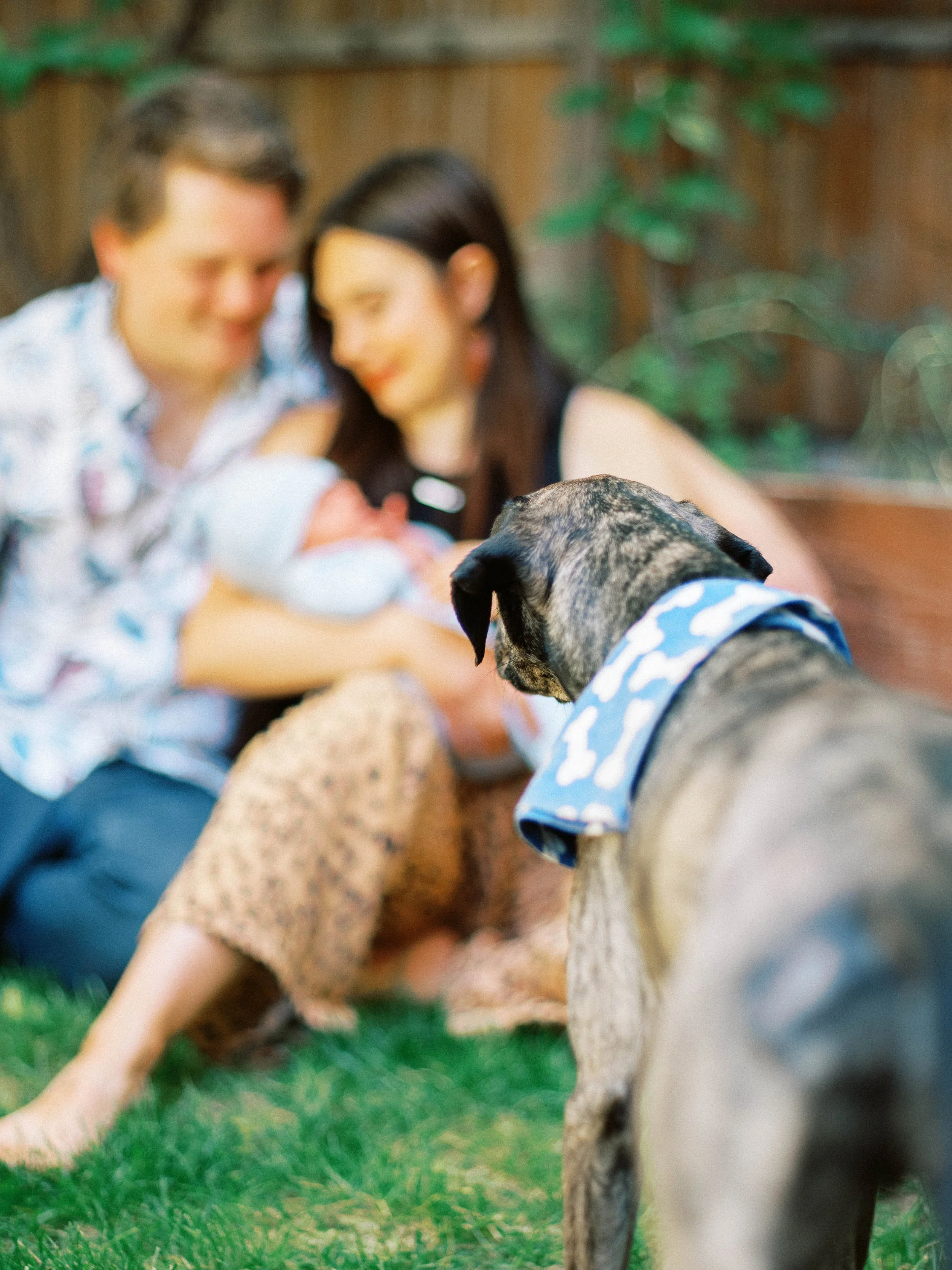 walnutcreekfamily-46.jpg