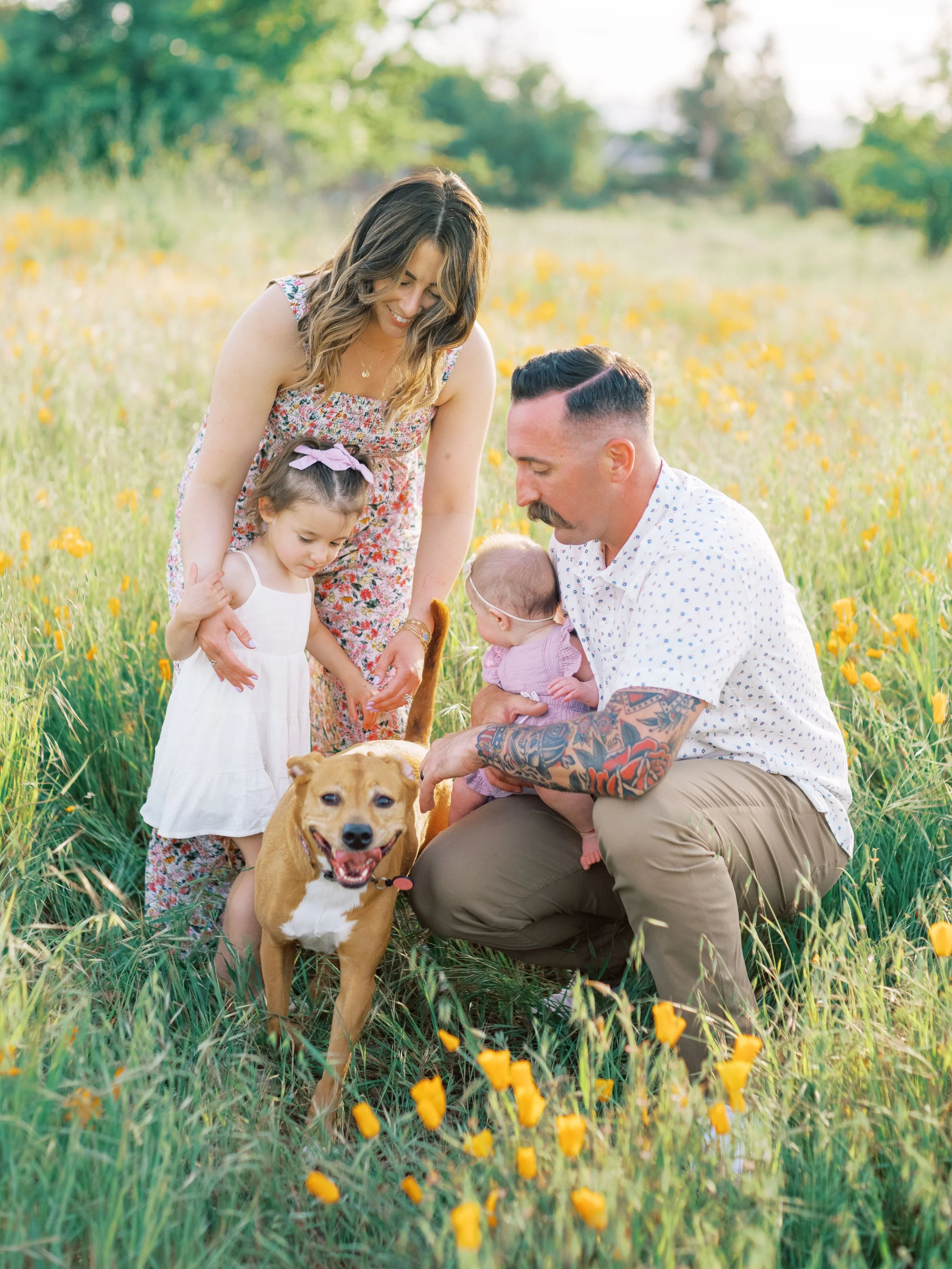 FlowerFieldLivermore-4.jpg