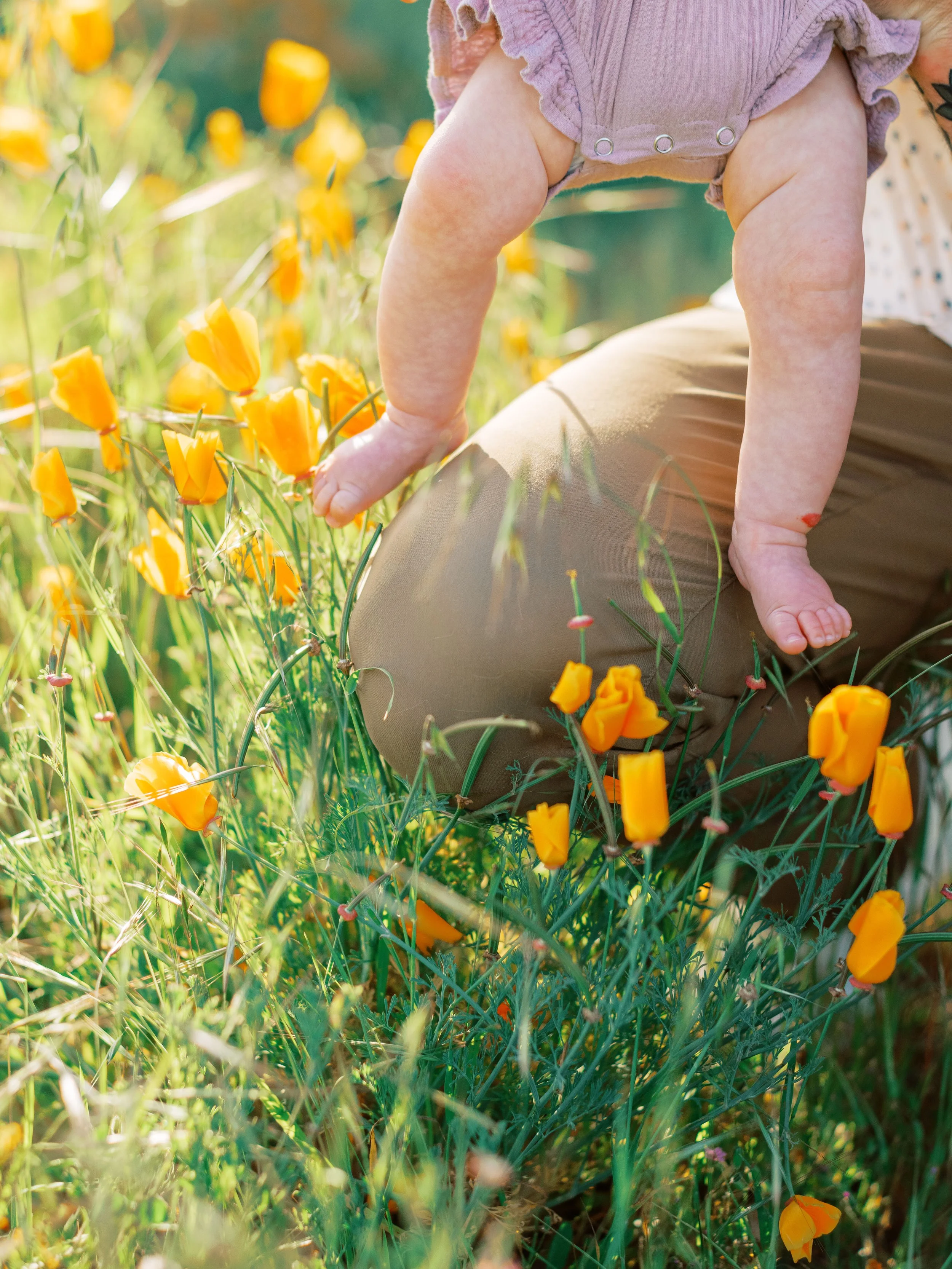 FlowerFieldLivermore-13.jpg