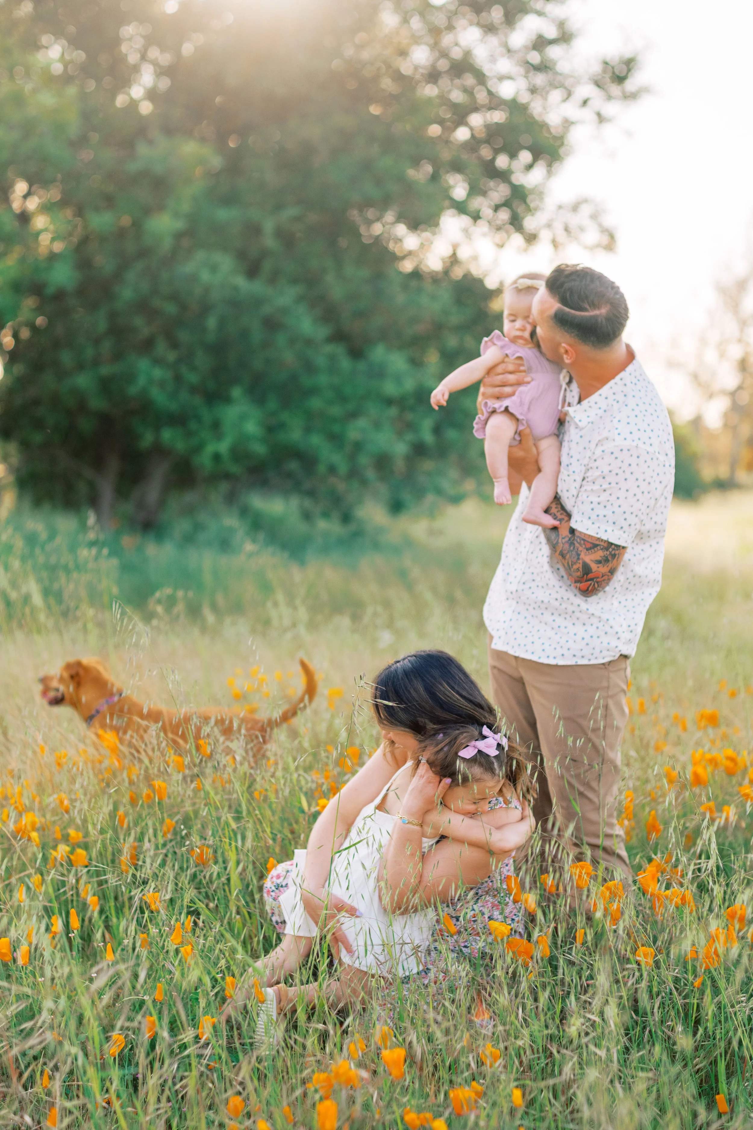 FlowerFieldLivermore-24.jpg