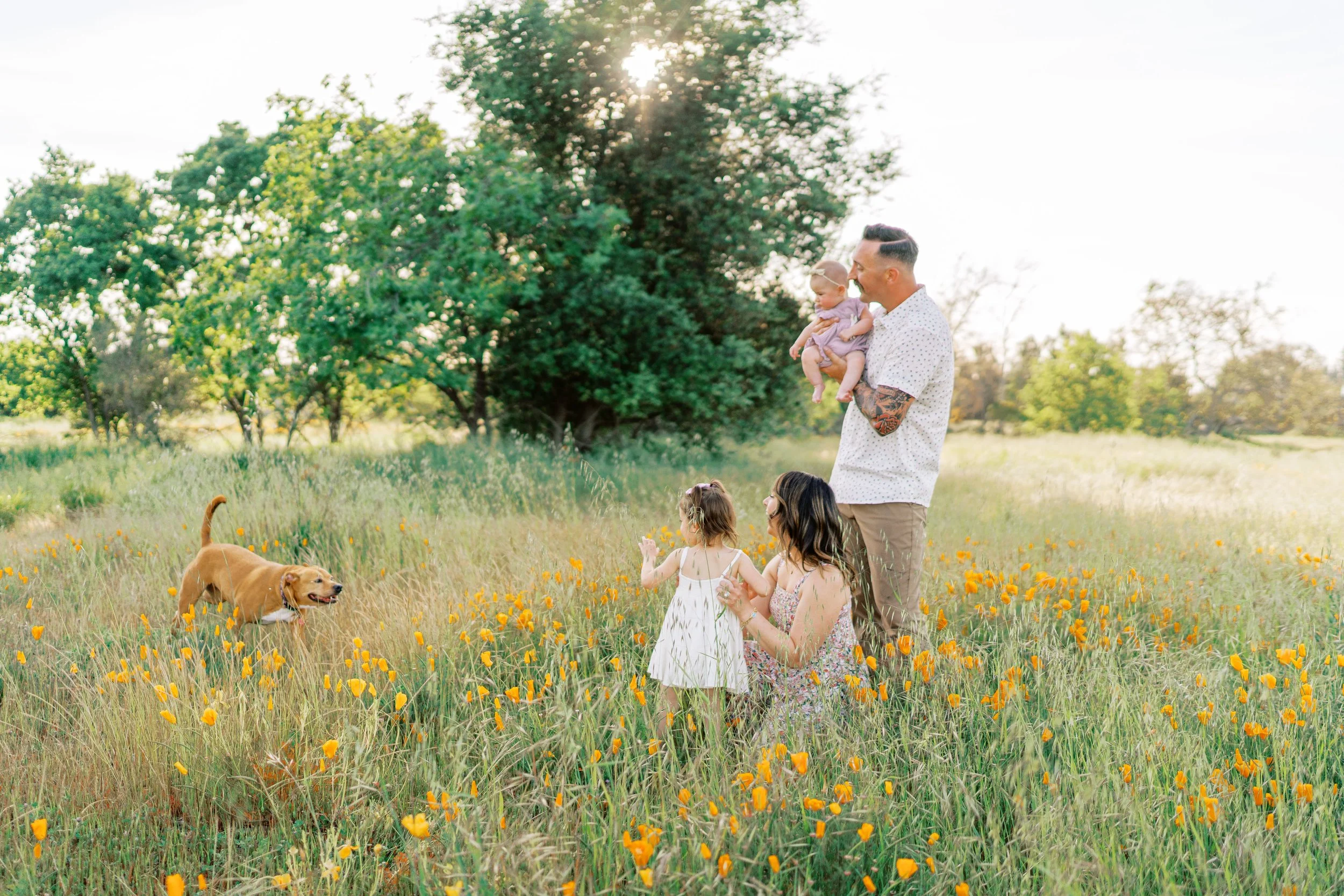 FlowerFieldLivermore-25.jpg