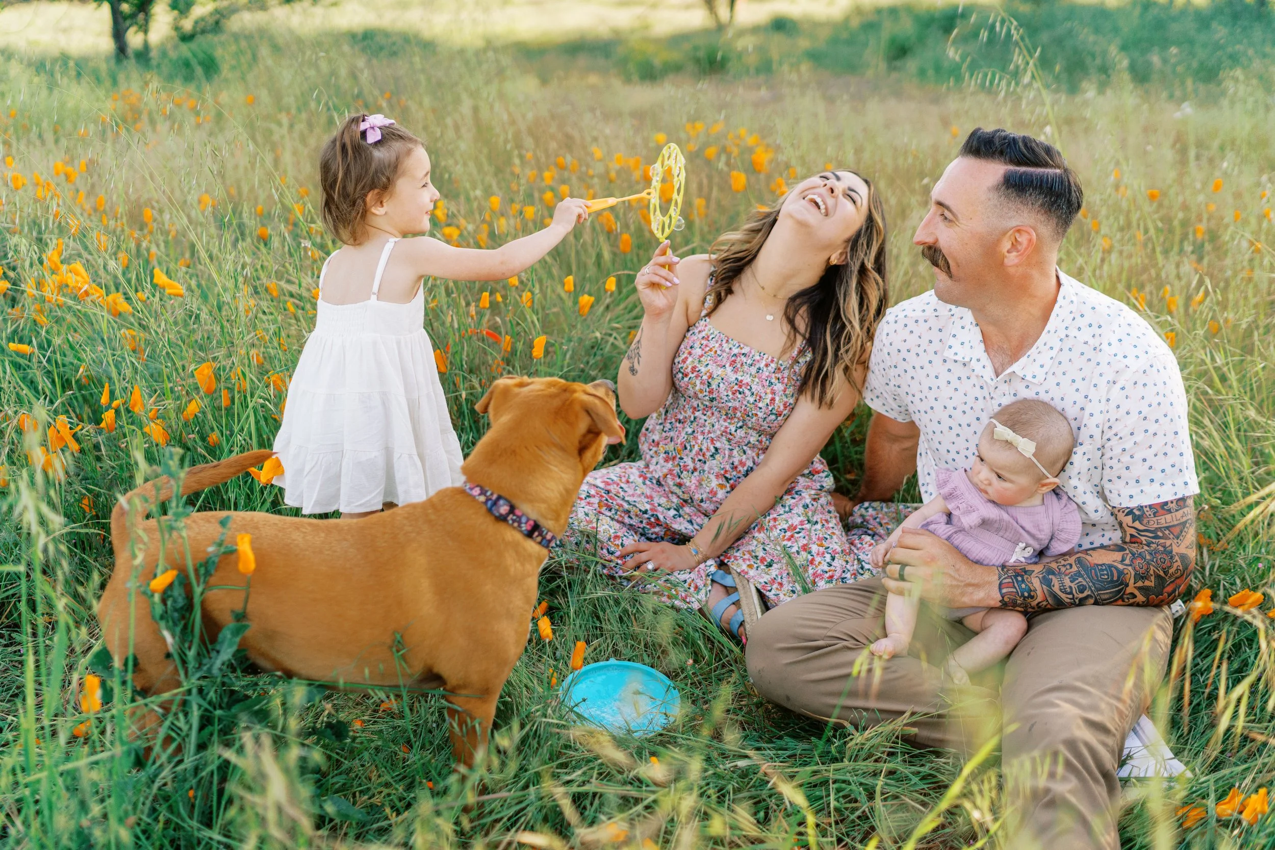 FlowerFieldLivermore-31.jpg