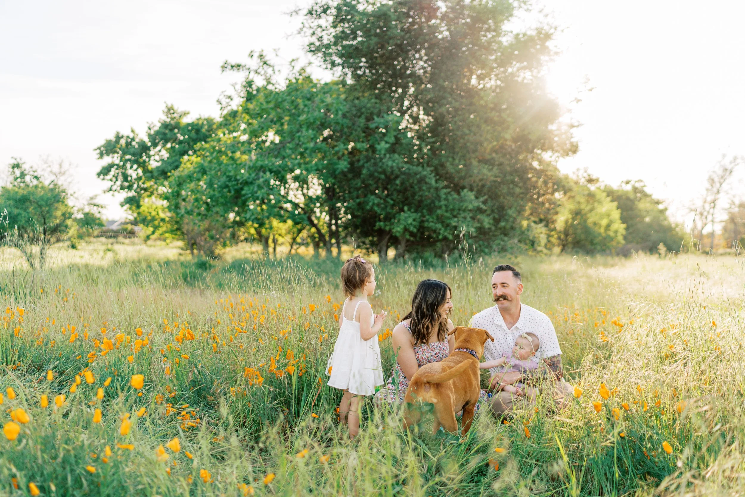 FlowerFieldLivermore-32.jpg