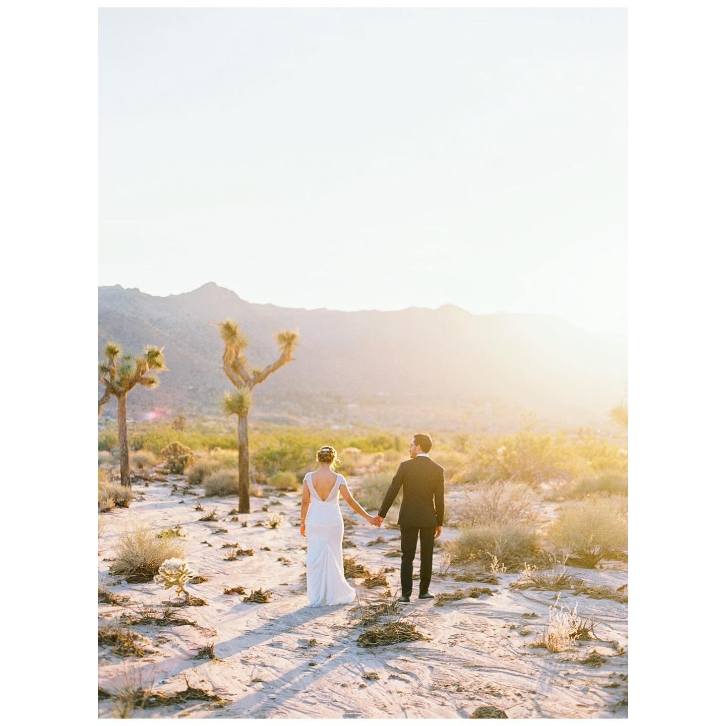 Manifesting another desert wedding 🌵