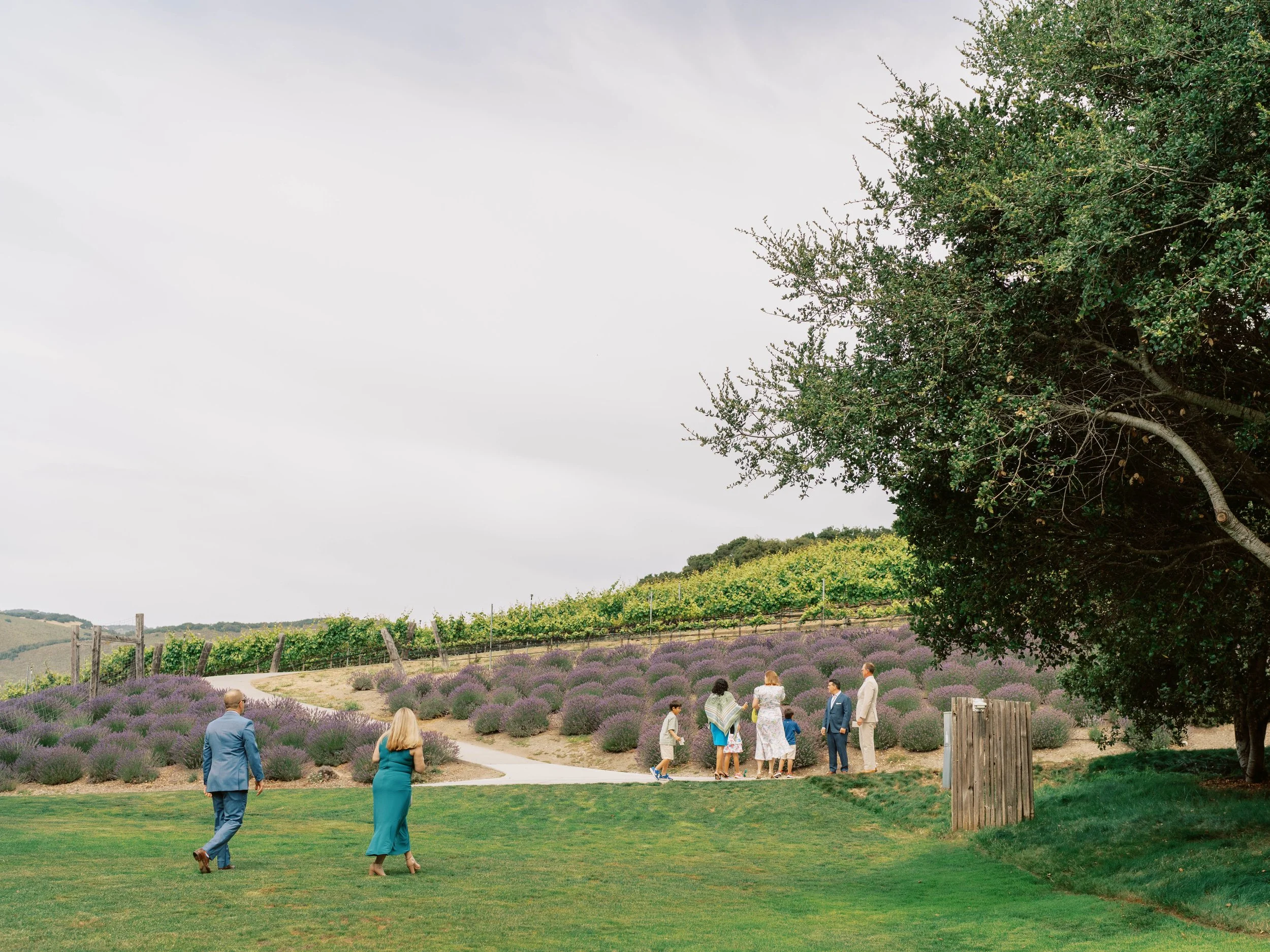 CarmelWedding-15.jpg