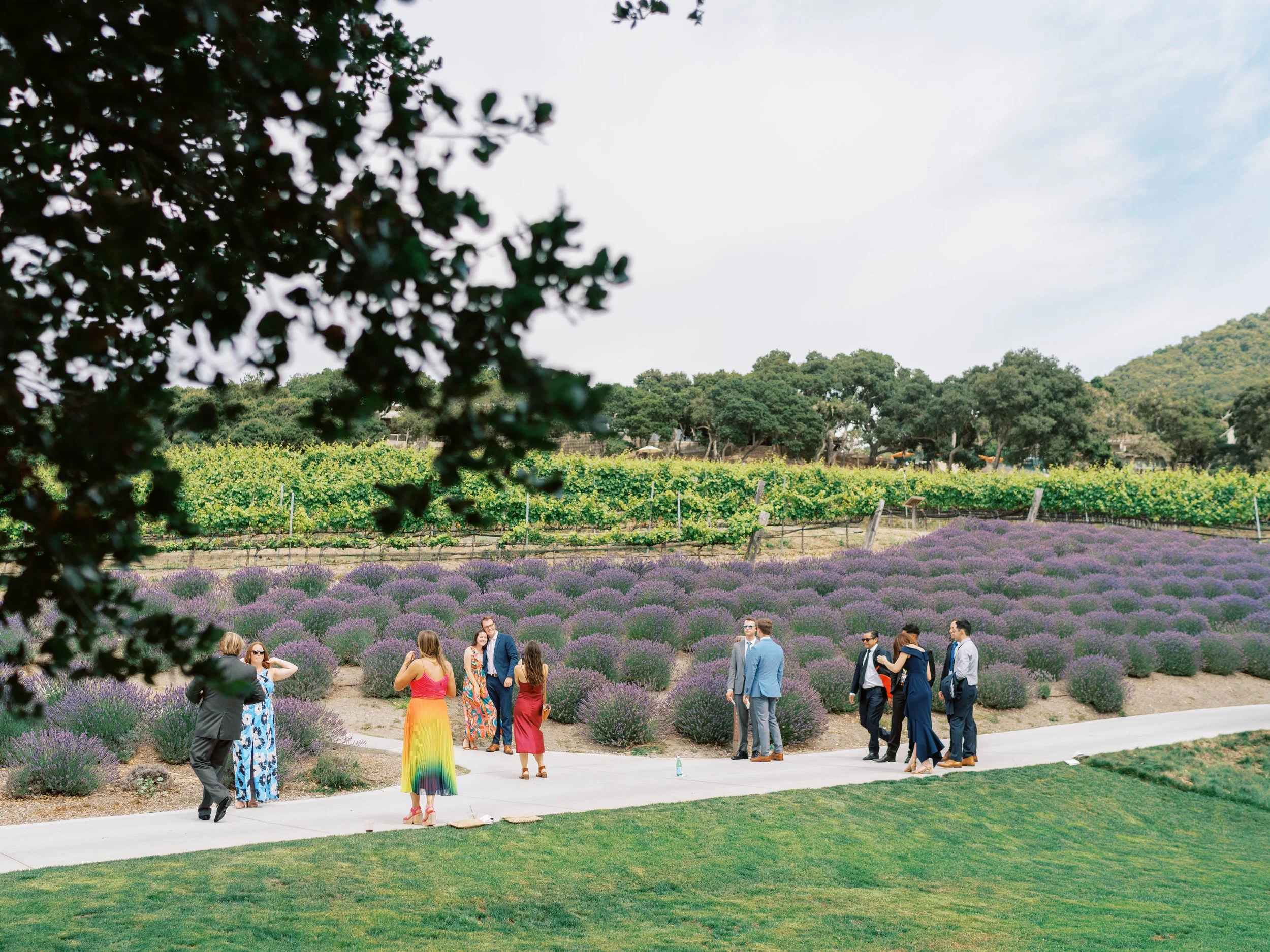 CarmelWedding-17.jpg