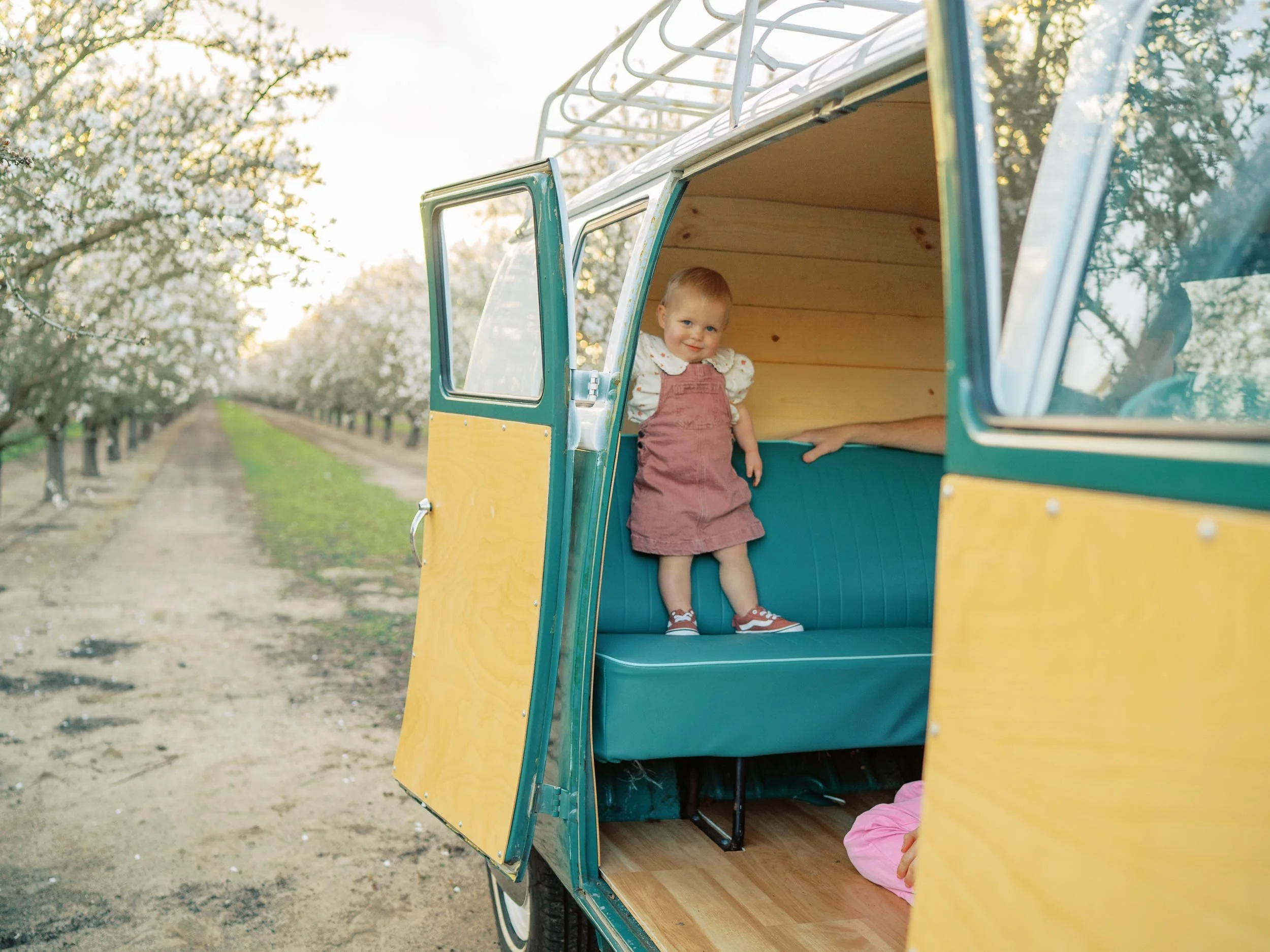 TurlockFamilyPhotographer-29.jpg