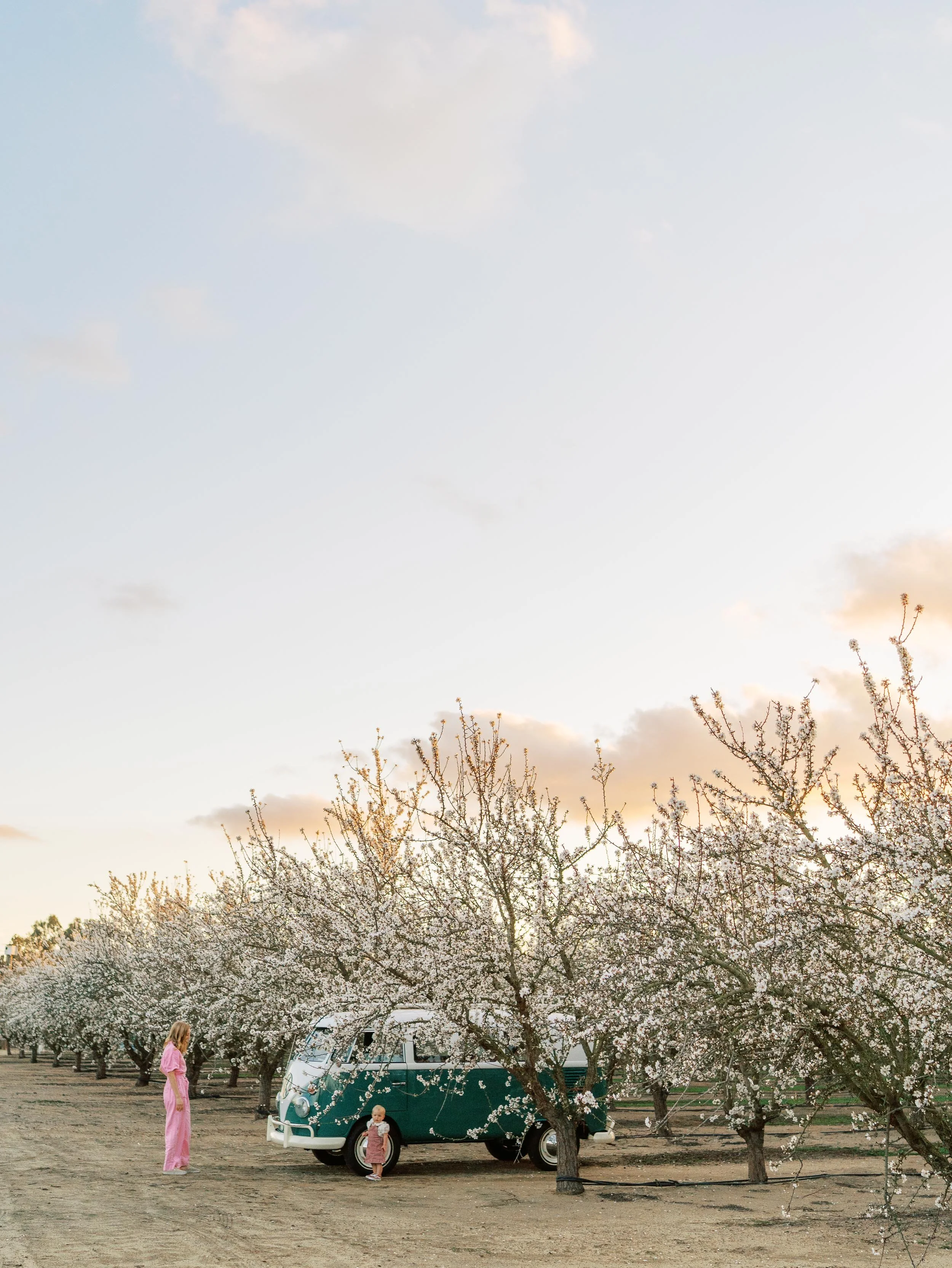 TurlockFamilyPhotographer-37.jpg