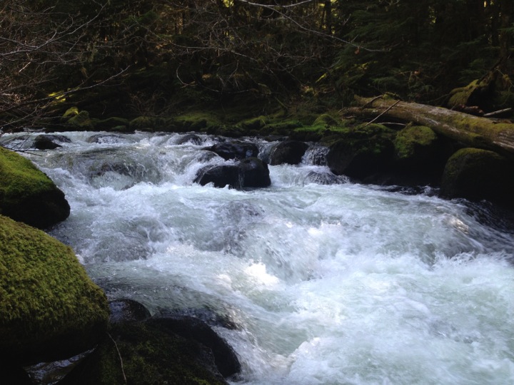   Falls Creek, Washington  