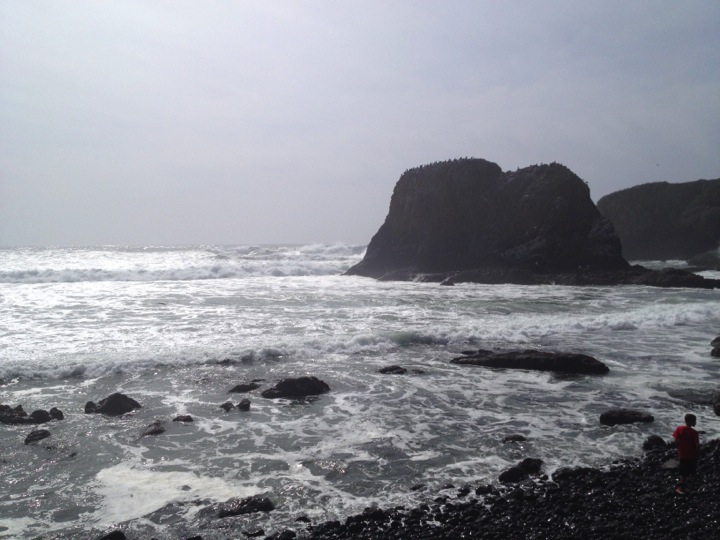   Yaquina Beach, Oregon  