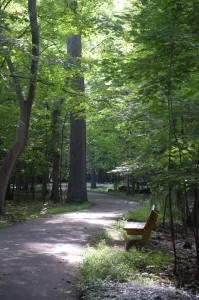 Trail-2-199x300.jpg