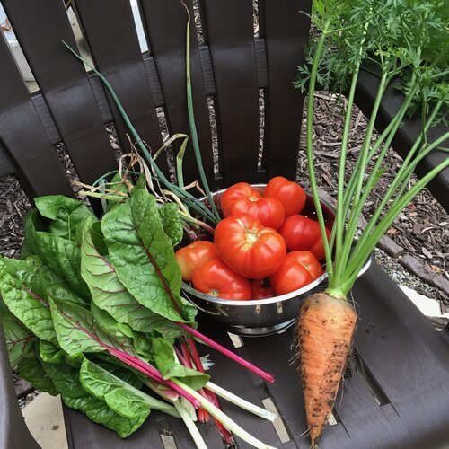 Unexpected Abundance