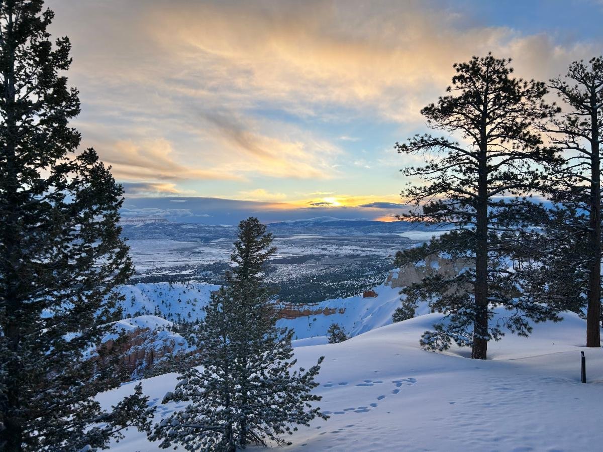 Sacred Silence &amp; Purposeful Nothingness