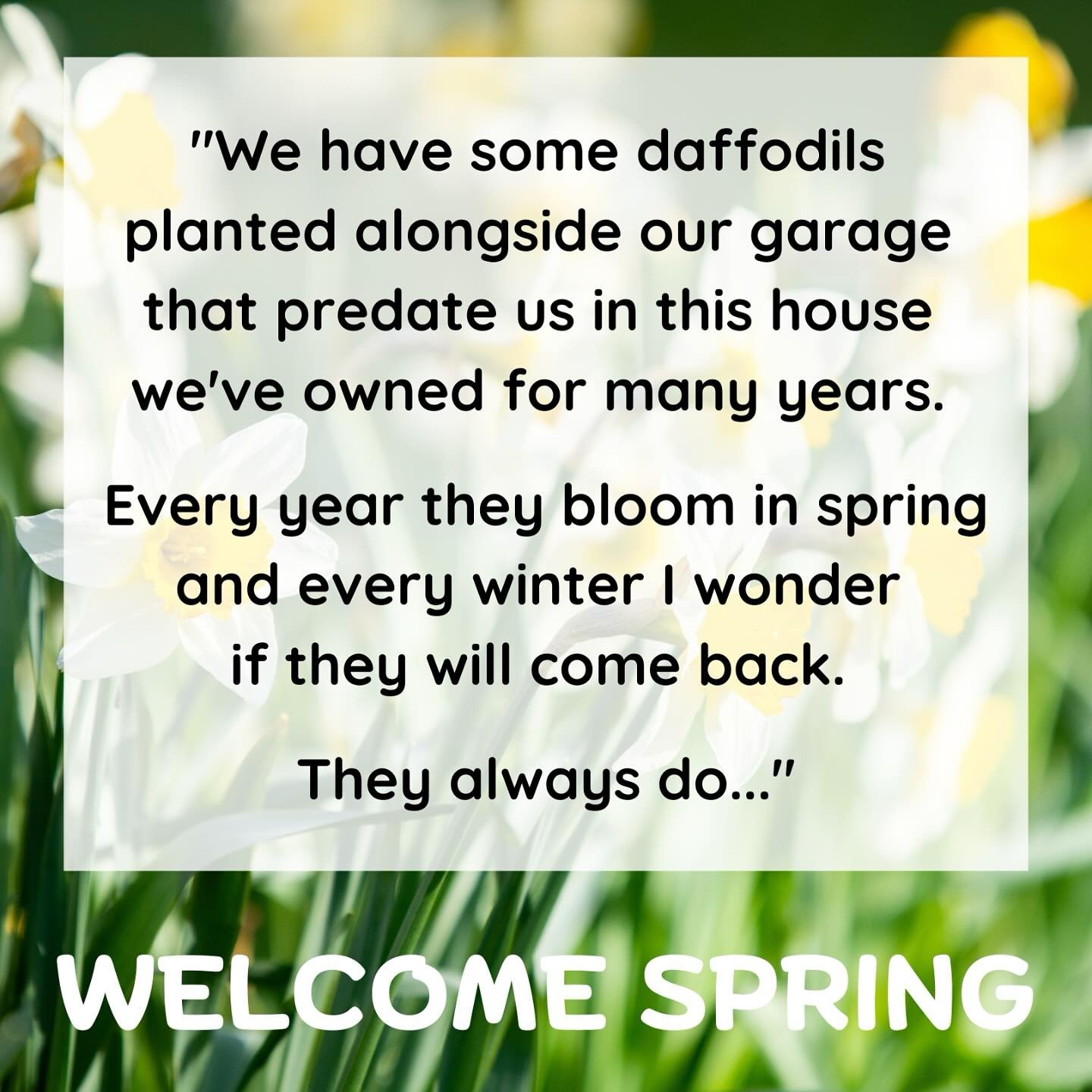Spring blessings to all! A friend recently sent a card with these wonderful words... “We have some daffodils planted alongside our garage that predate us in this house we’ve owned for many years. Every year they bloom in spring and ever