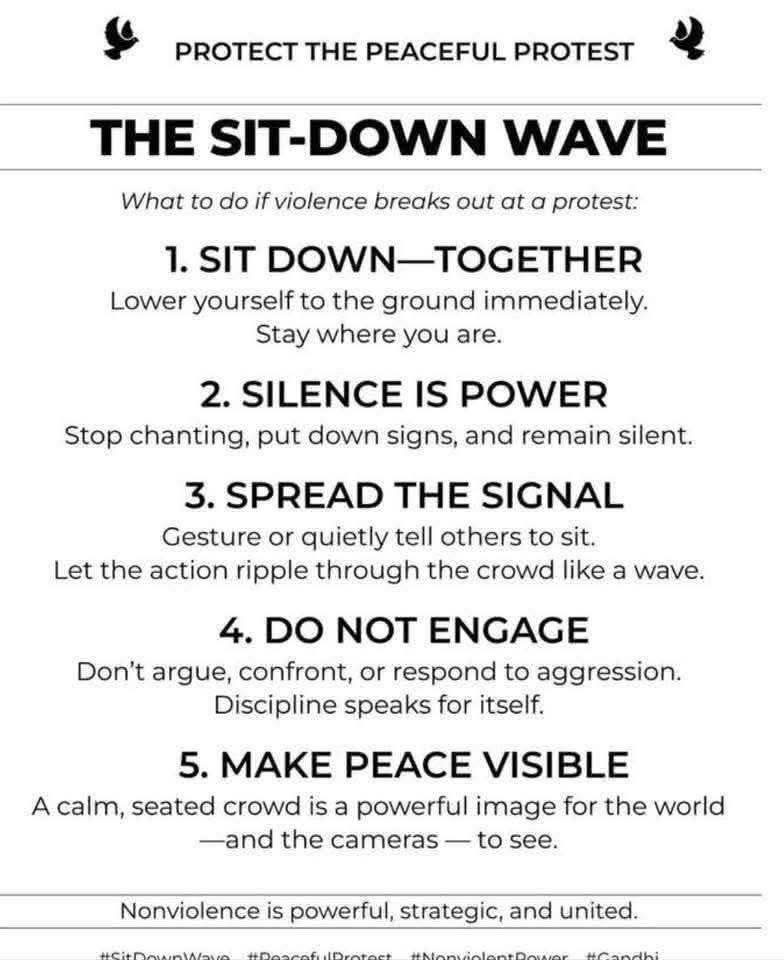 In this fine country of ours we all share tne same Constitution that guarantees freedom of speech and the right to lawful assembly. Regardless of where you land on the political sliding scale of opinion, your voice matters.
If you choose to expres