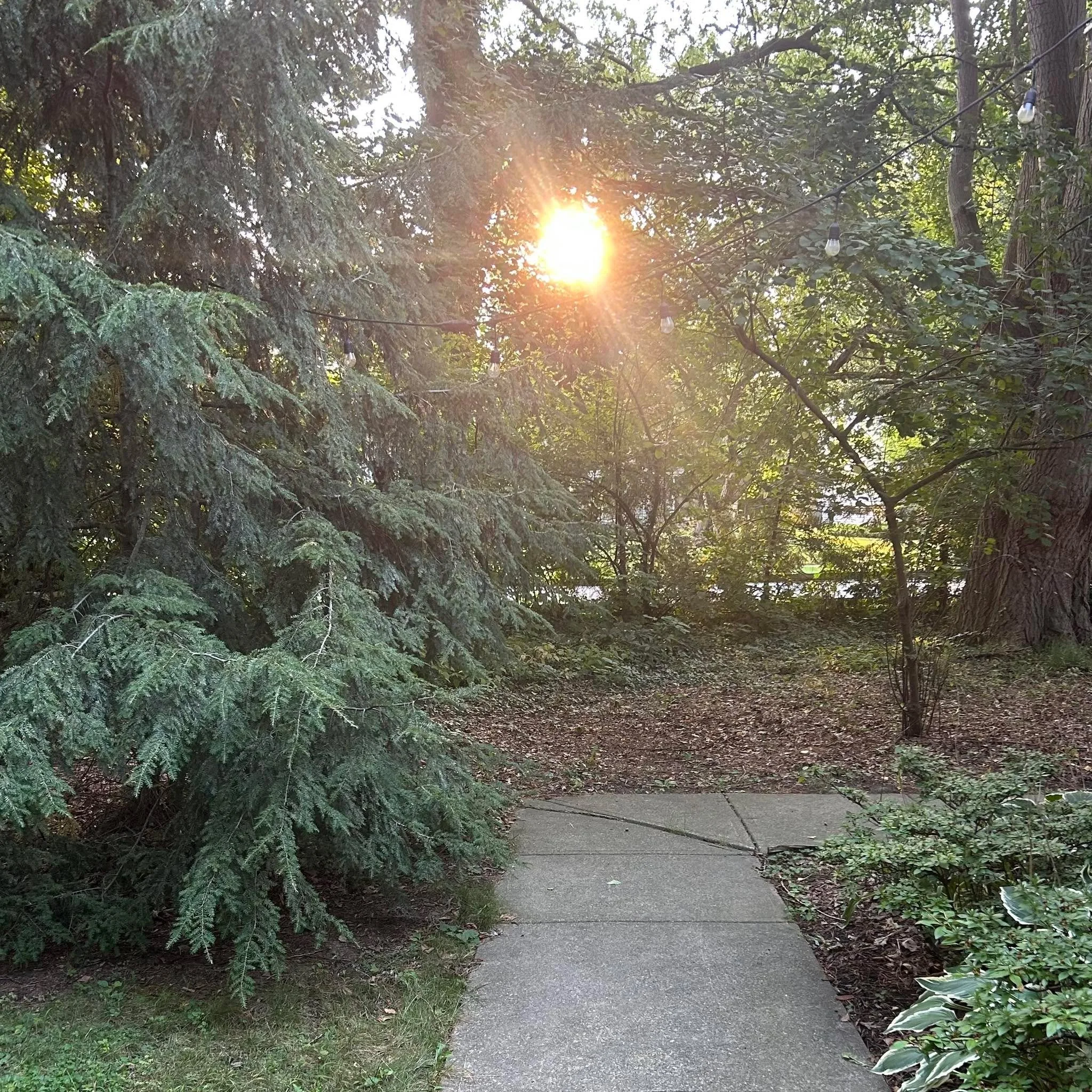 Prayers continue for all those still gathered at the justice center today. May there be healing, peace and restorative justice for all…
I am home this morning - was released from the jury pool yesterday afternoon. Feeling particularly gratefu