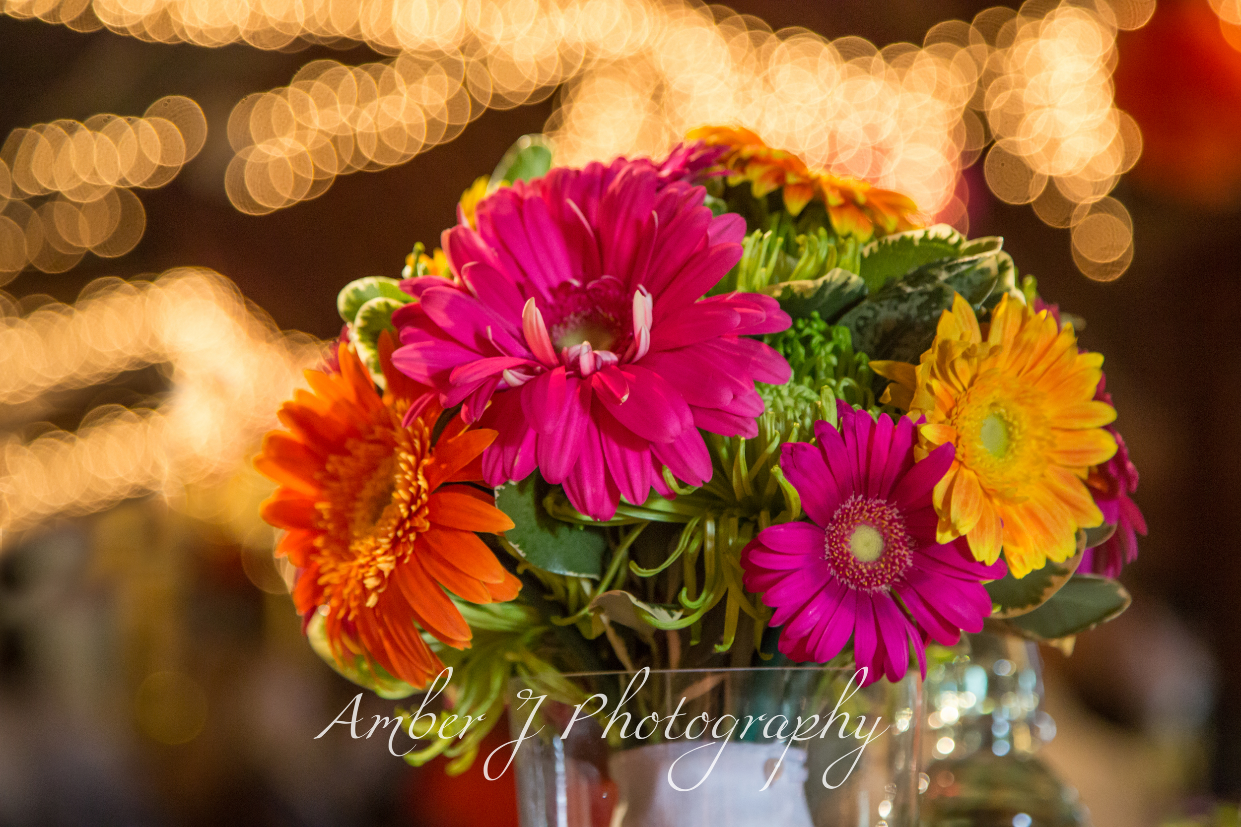 Mccann_Amberjphotography_blog_20.jpg