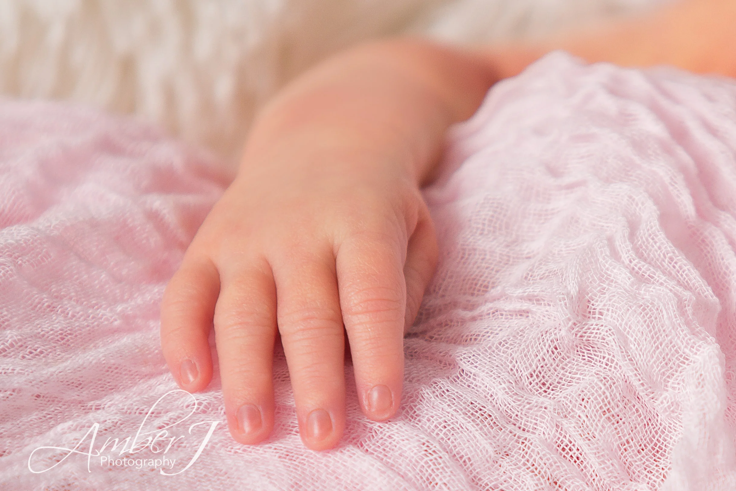 ButtonFamily_AmberJPhotography_Blog_20.jpg