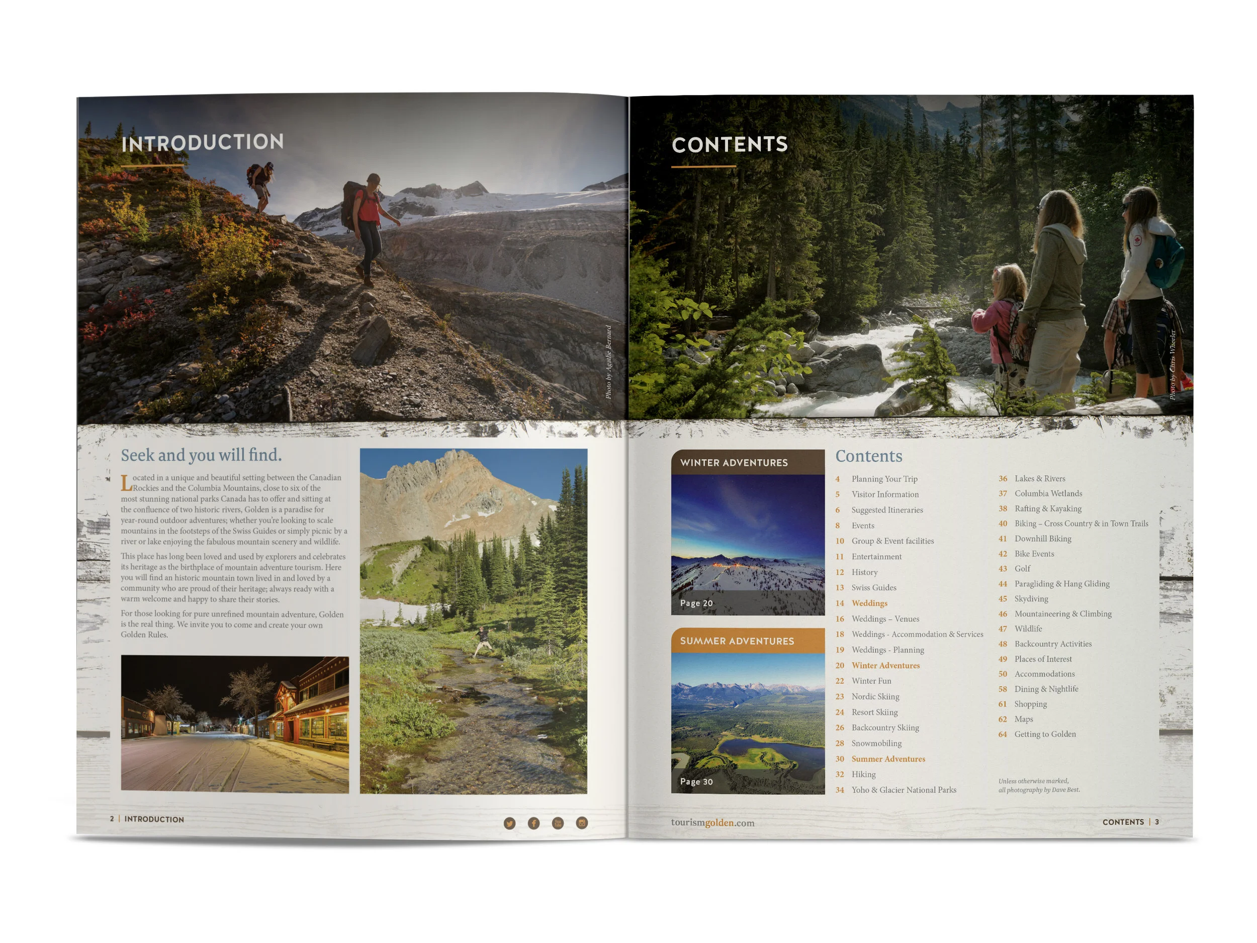 Golden-Planner-Inside_1.jpg