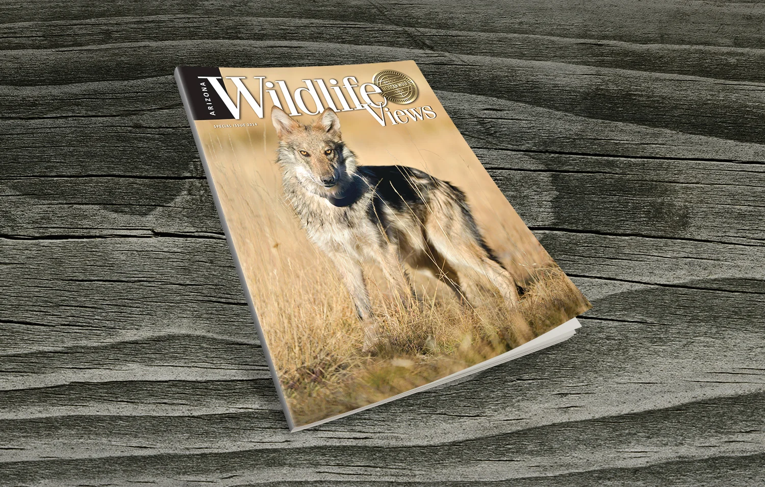 ARIZONA GAME AND FISH DEPARTMENT  |  MAGAZINE