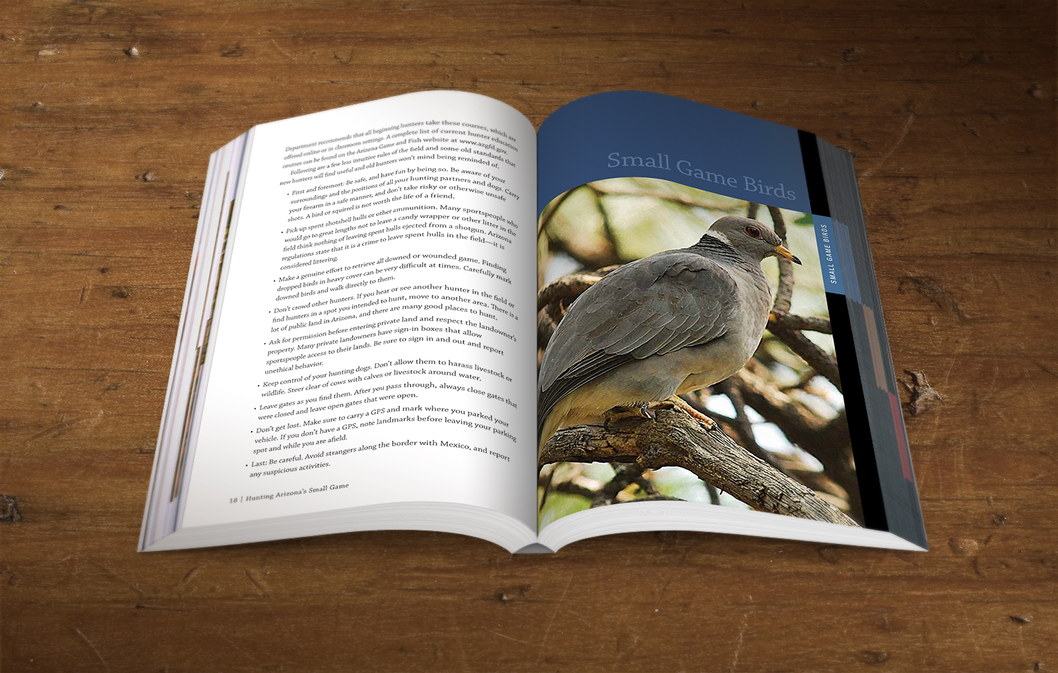 ARIZONA GAME AND FISH DEPARTMENT  |  BOOK DESIGN