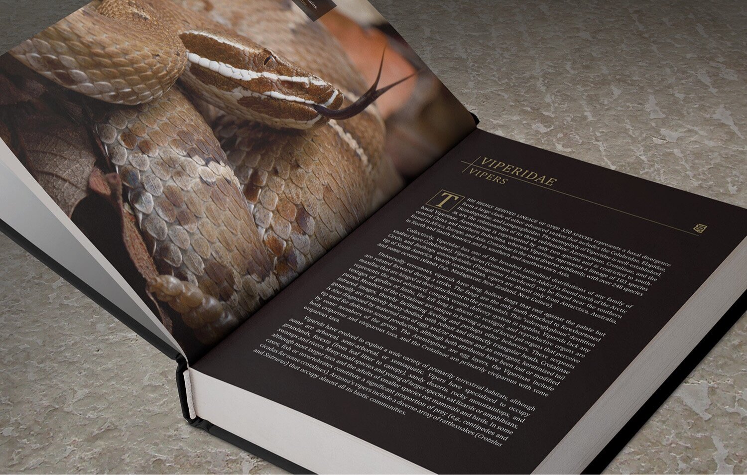 ECO PUBLISHING | SNAKES OF ARIZONA COFFEE TABLE BOOK