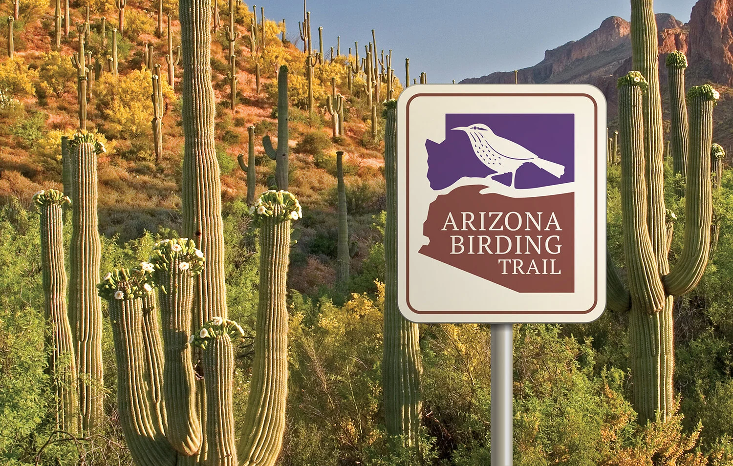 ARIZONA GAME AND FISH DEPARTMENT |  BIRDING TRAIL LOGO
