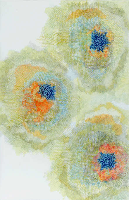Engorget , Ink, graphite, and acrylic paint on drafting film, 36x59", 2007