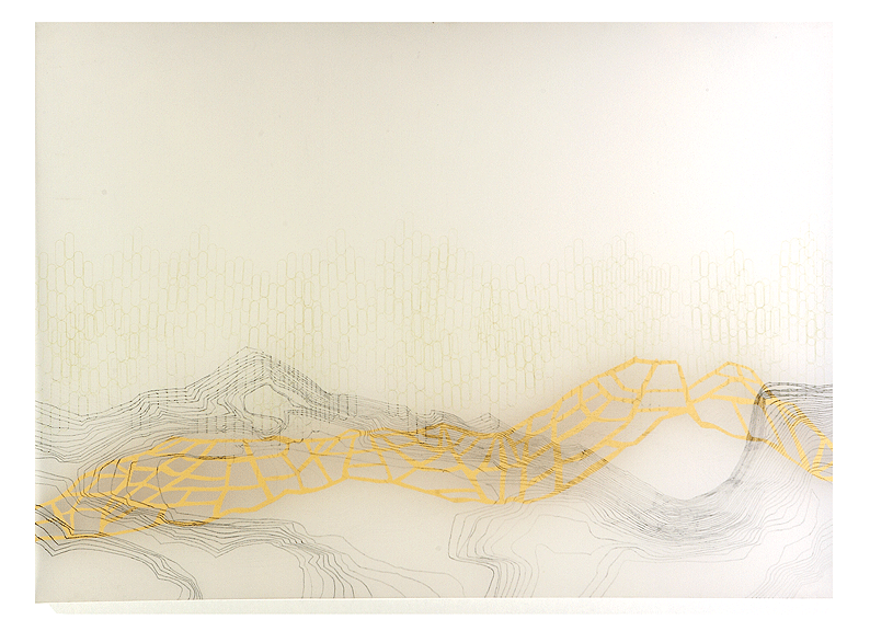 Amanda Hughen, Procedural Compromise , ink, pencil, and shelf liner on mylar, 24x36", 2005