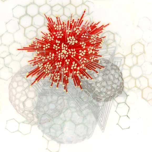 PLIANT RECEPTOR (ABOVE)