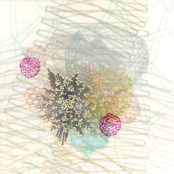 Amenable Collapse