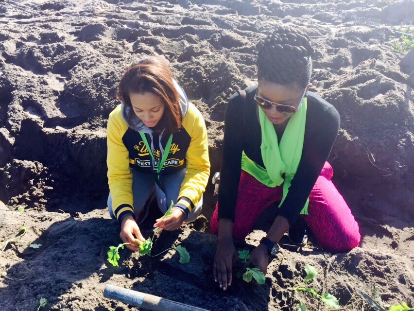  Adenike Akinsemolu and a student of UWC planting at the Organic Food Market in Gugulethu as part of community engagement during the conference 