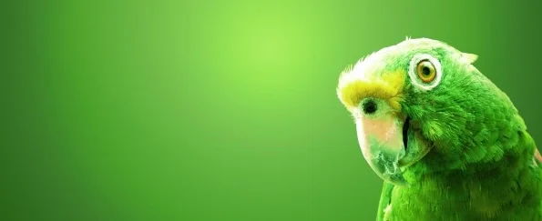green-parrot-wide-600x375.jpg