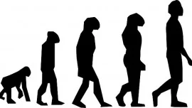 Why human beings are just like giant pandas