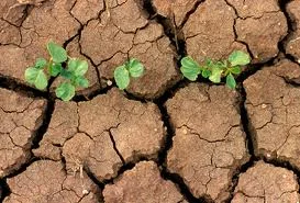 Climate vs. Weather – What’s the Difference?