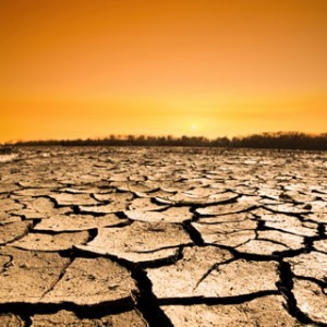 Top 10 Water Wasters: From Washing Dishes to Watering the Desert