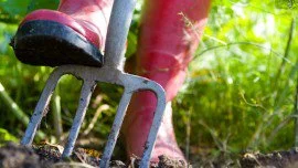Gardening While You Learn