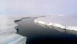 Climate Change Causes One of The Largest Icebergs to Break off from An Ice Shelf in Western Antarctica 