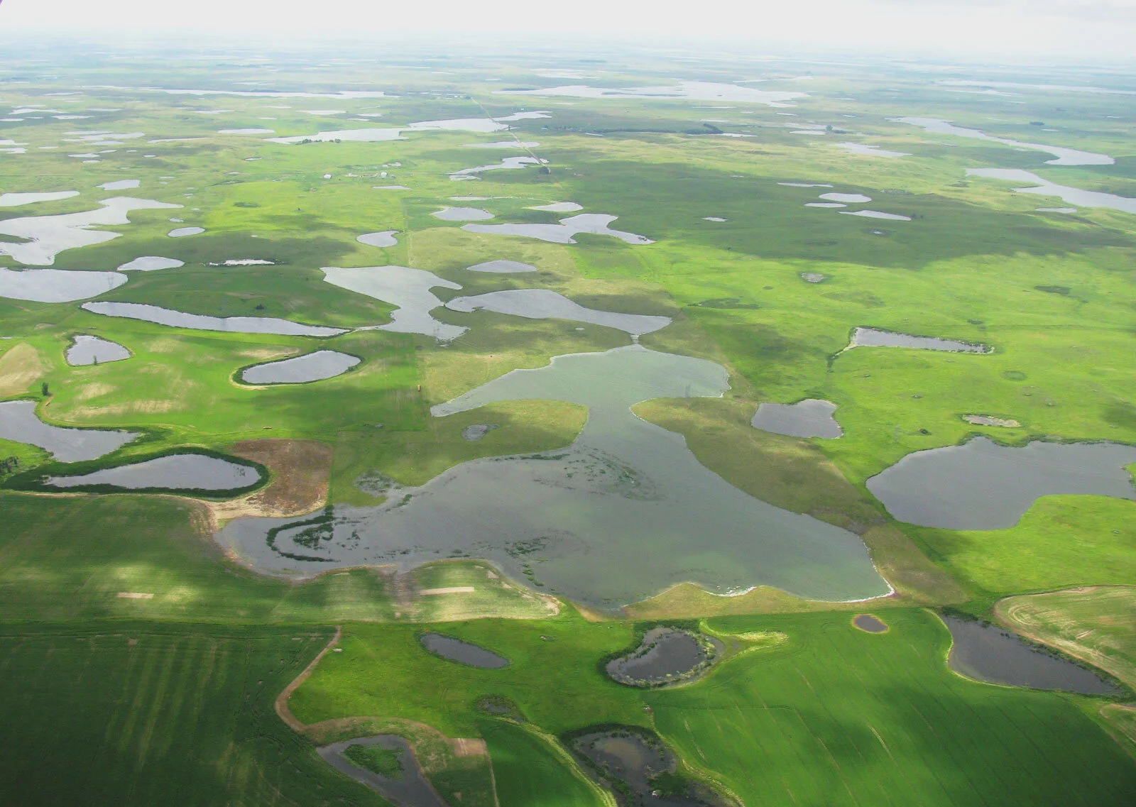 Wetland
