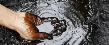 Oil