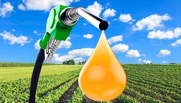 Biodiesel
