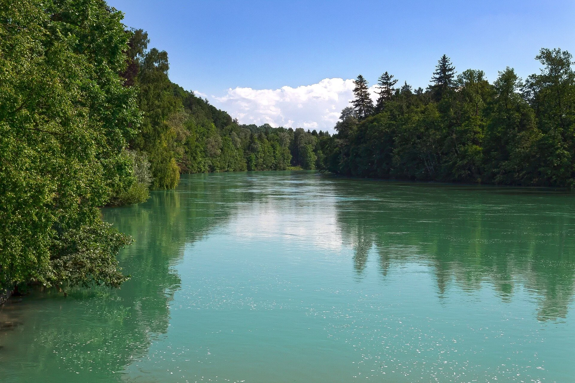 Riparian&nbsp;