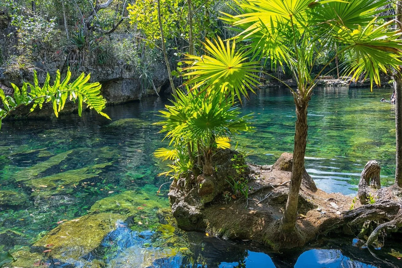 Limnology